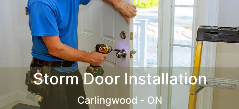 Storm Door Installation Carlingwood - ON