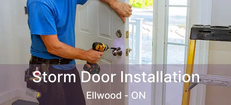 Storm Door Installation Ellwood - ON