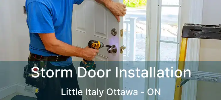 Storm Door Installation Little Italy Ottawa - ON
