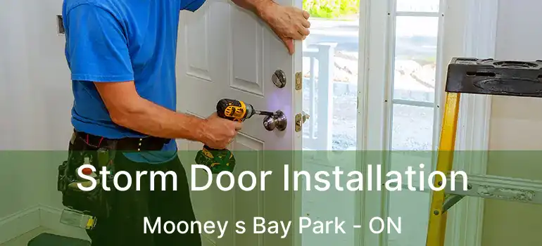 Storm Door Installation Mooney s Bay Park - ON