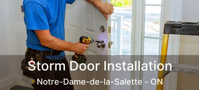 Storm Door Installation Notre-Dame-de-la-Salette - ON