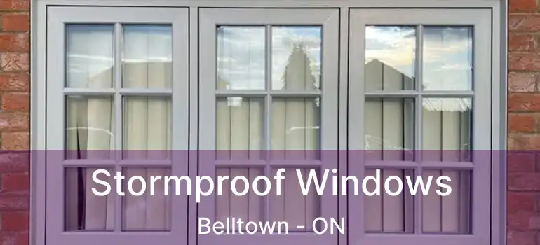  Stormproof Windows Belltown - ON