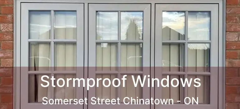  Stormproof Windows Somerset Street Chinatown - ON