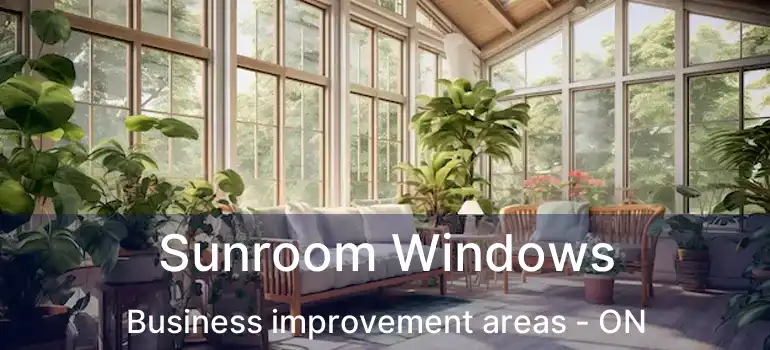 Sunroom Windows Business improvement areas - ON