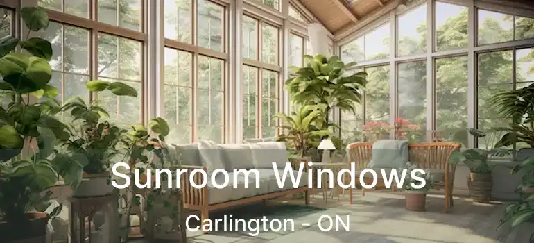  Sunroom Windows Carlington - ON