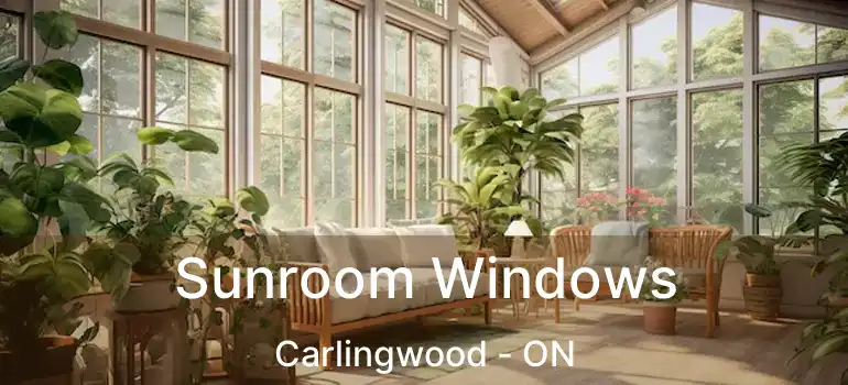  Sunroom Windows Carlingwood - ON