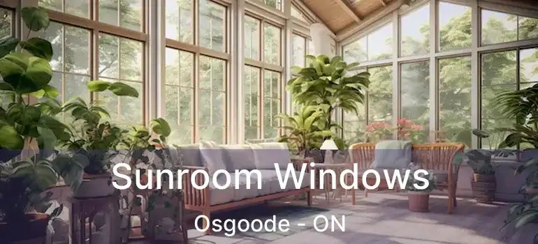  Sunroom Windows Osgoode - ON