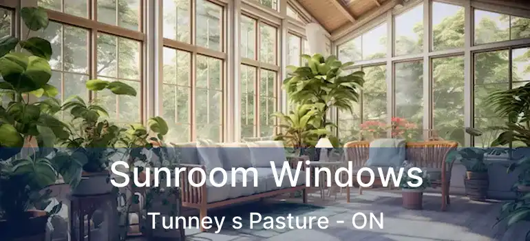  Sunroom Windows Tunney s Pasture - ON