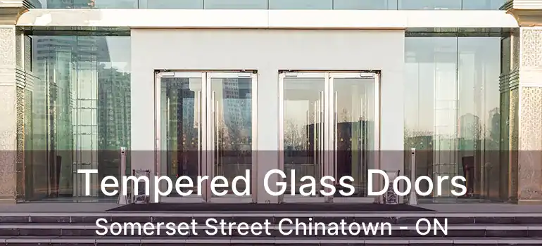 Tempered Glass Doors Somerset Street Chinatown - ON