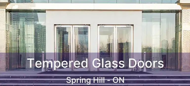 Tempered Glass Doors Spring Hill - ON