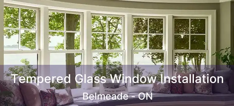 Tempered Glass Window Installation Belmeade - ON