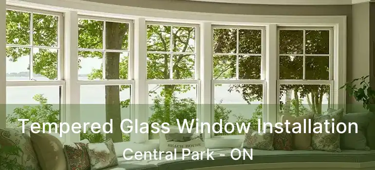 Tempered Glass Window Installation Central Park - ON