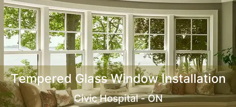 Tempered Glass Window Installation Civic Hospital - ON