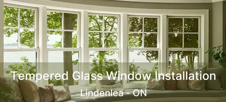 Tempered Glass Window Installation Lindenlea - ON