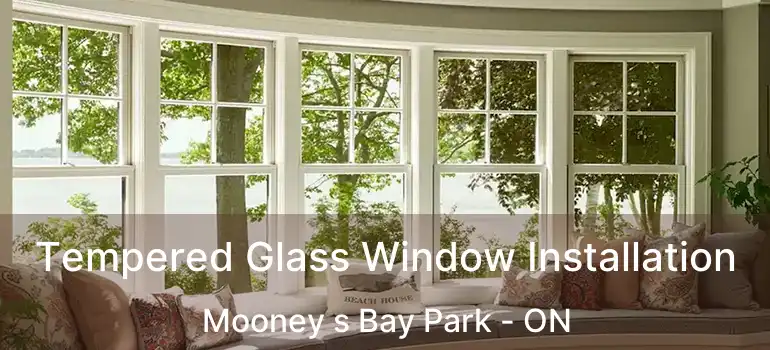 Tempered Glass Window Installation Mooney s Bay Park - ON