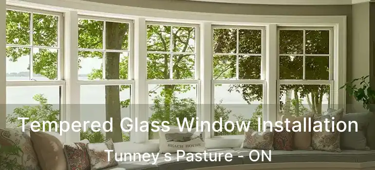 Tempered Glass Window Installation Tunney s Pasture - ON