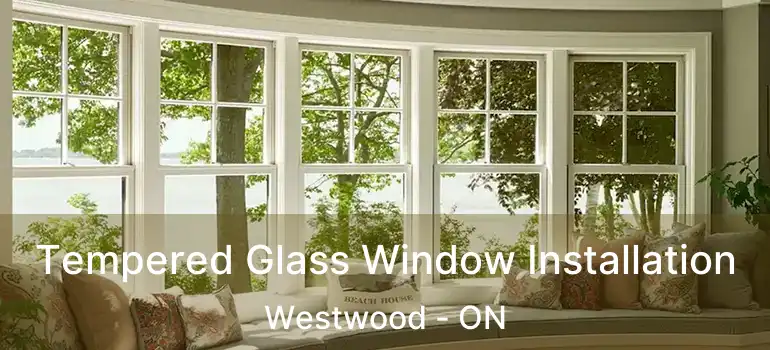  Tempered Glass Window Installation Westwood - ON