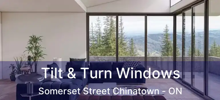 Tilt & Turn Windows Somerset Street Chinatown - ON