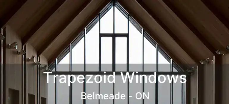 Trapezoid Windows Belmeade - ON