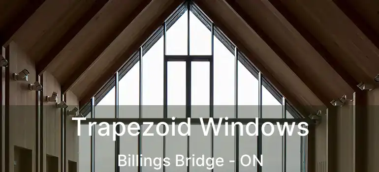 Trapezoid Windows Billings Bridge - ON