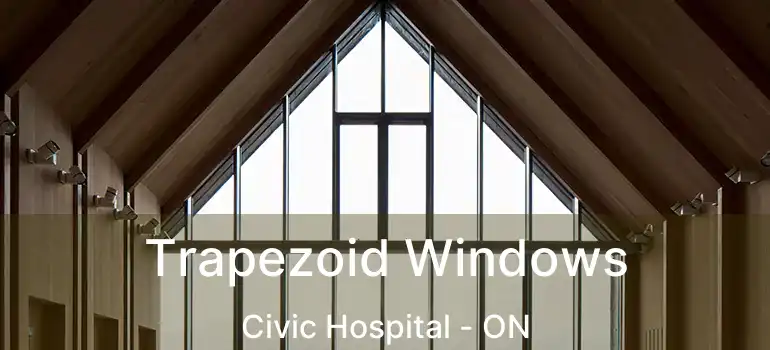  Trapezoid Windows Civic Hospital - ON