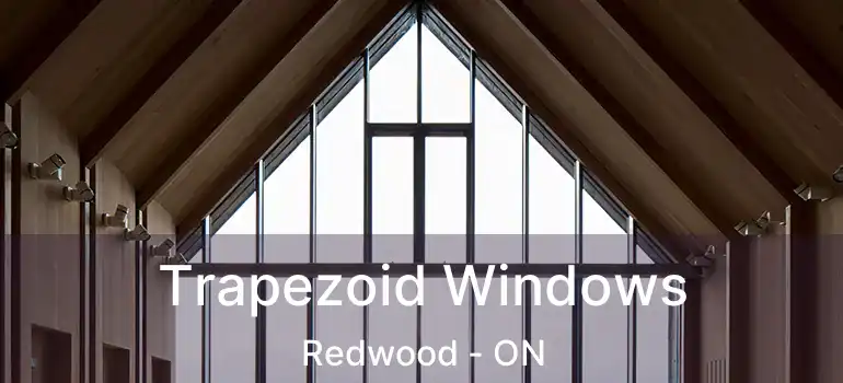 Trapezoid Windows Redwood - ON