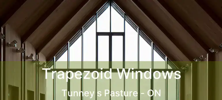 Trapezoid Windows Tunney s Pasture - ON