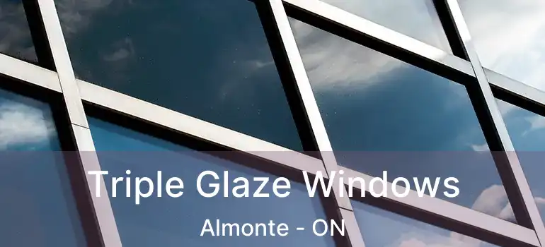 Triple Glaze Windows Almonte - ON