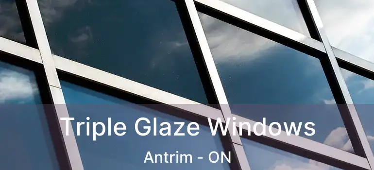  Triple Glaze Windows Antrim - ON