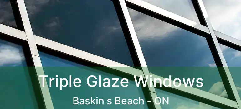  Triple Glaze Windows Baskin s Beach - ON