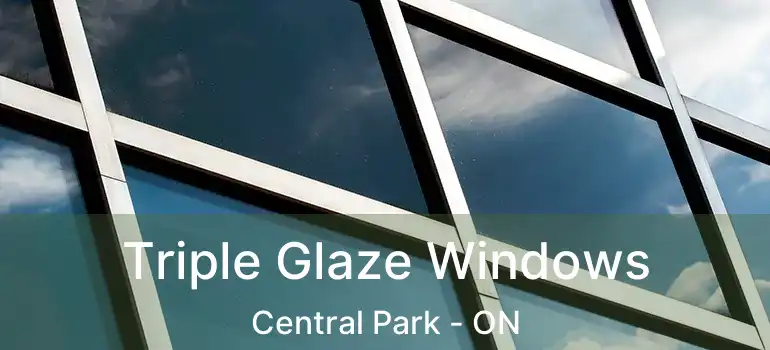  Triple Glaze Windows Central Park - ON