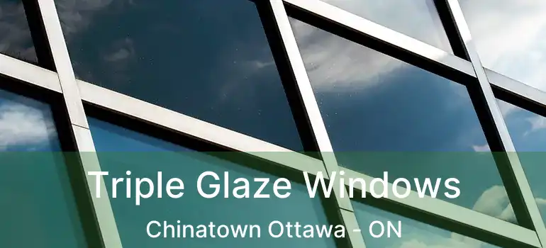  Triple Glaze Windows Chinatown Ottawa - ON