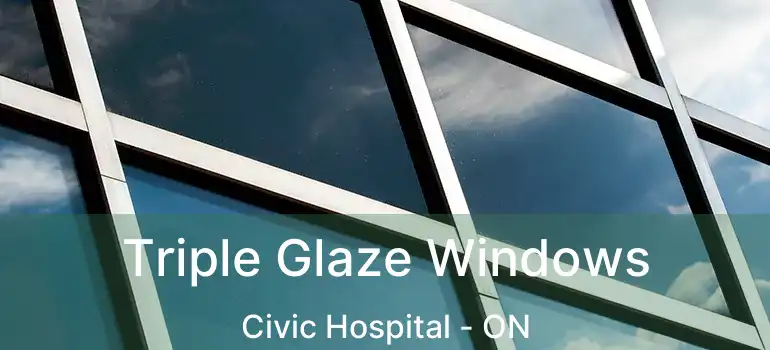  Triple Glaze Windows Civic Hospital - ON