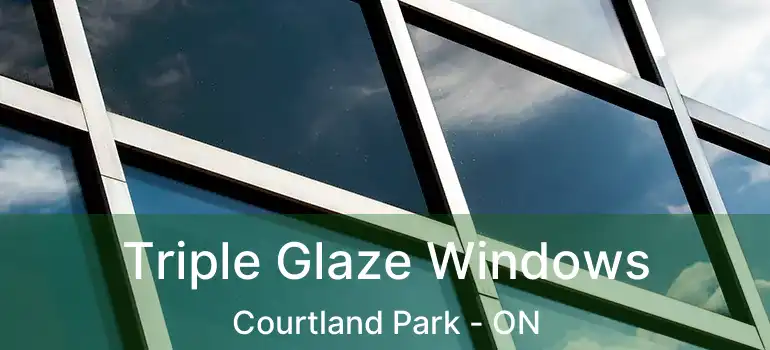  Triple Glaze Windows Courtland Park - ON