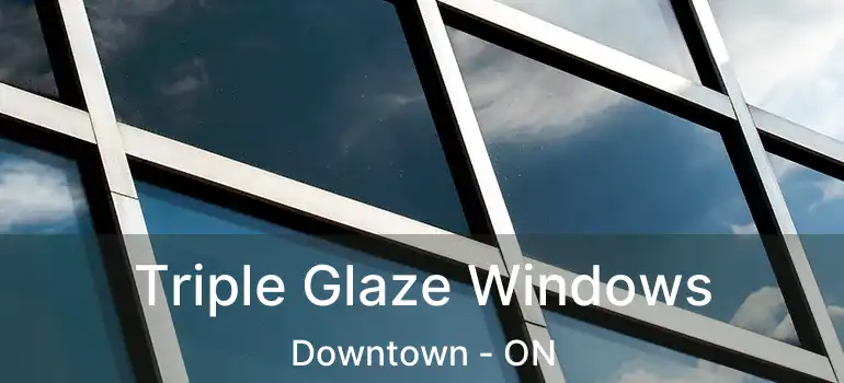  Triple Glaze Windows Downtown - ON