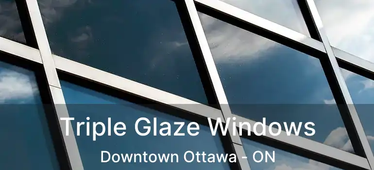  Triple Glaze Windows Downtown Ottawa - ON