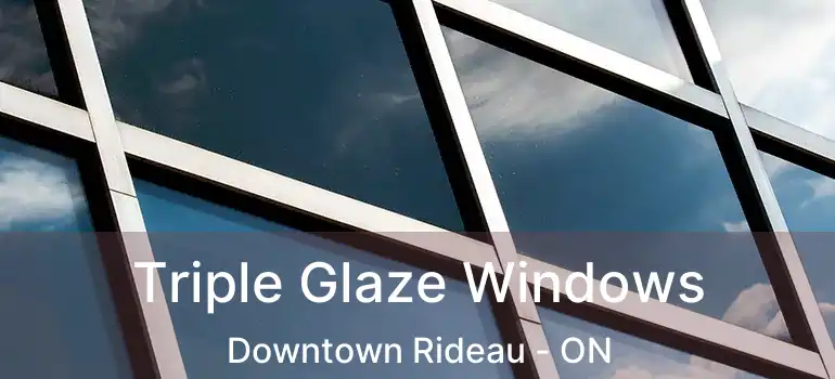  Triple Glaze Windows Downtown Rideau - ON