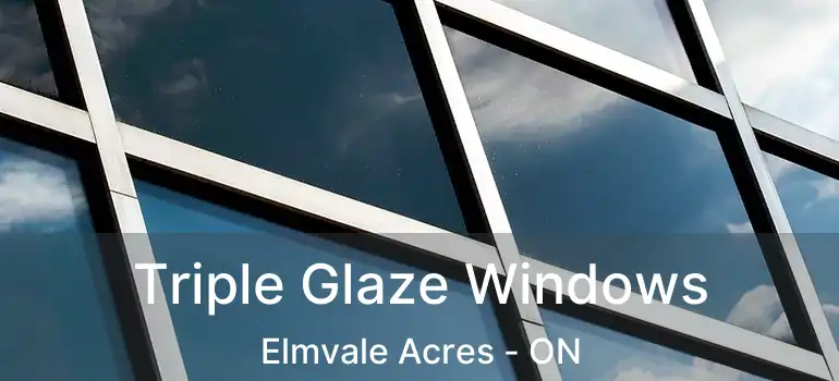  Triple Glaze Windows Elmvale Acres - ON