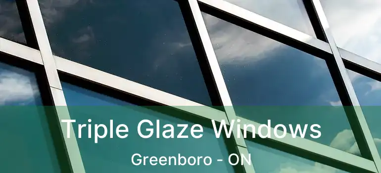  Triple Glaze Windows Greenboro - ON