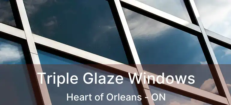  Triple Glaze Windows Heart of Orleans - ON