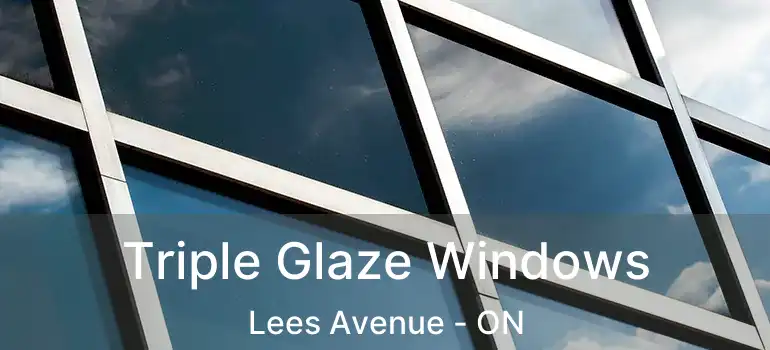  Triple Glaze Windows Lees Avenue - ON