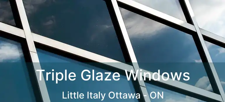  Triple Glaze Windows Little Italy Ottawa - ON