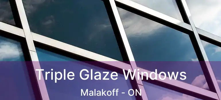 Triple Glaze Windows Malakoff - ON