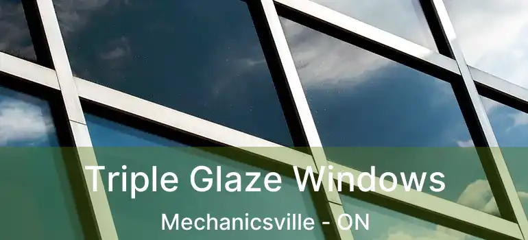  Triple Glaze Windows Mechanicsville - ON
