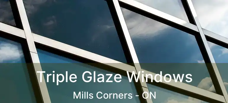  Triple Glaze Windows Mills Corners - ON