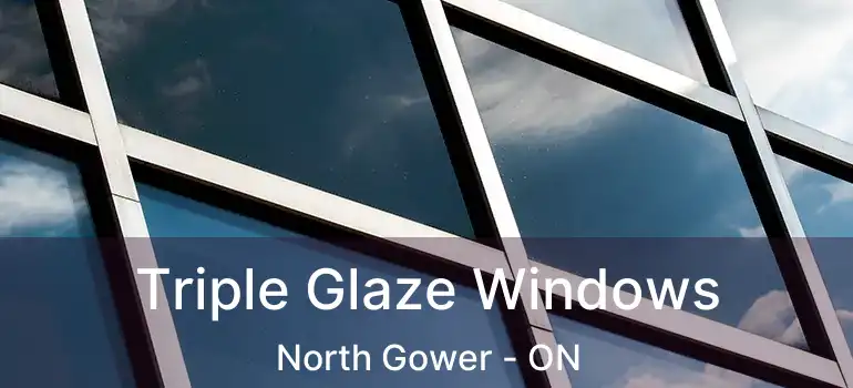  Triple Glaze Windows North Gower - ON