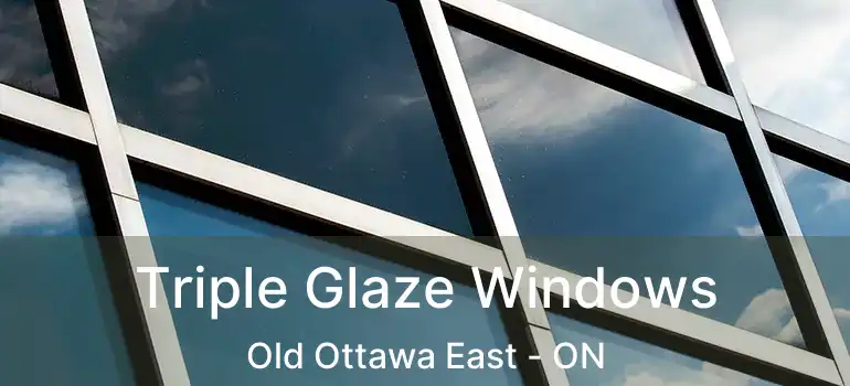  Triple Glaze Windows Old Ottawa East - ON