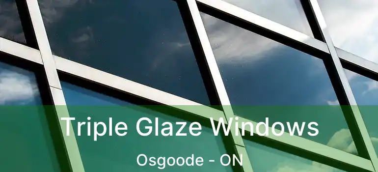 Triple Glaze Windows Osgoode - ON
