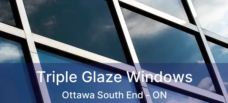  Triple Glaze Windows Ottawa South End - ON