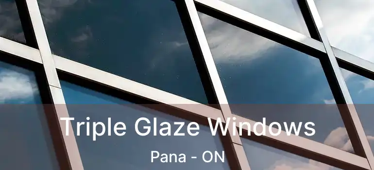  Triple Glaze Windows Pana - ON